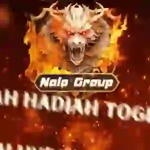 NALO GROUP loading=